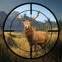Wild Animal Hunter Shooting