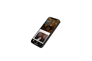Scott Avenue Associates Screenshot 0