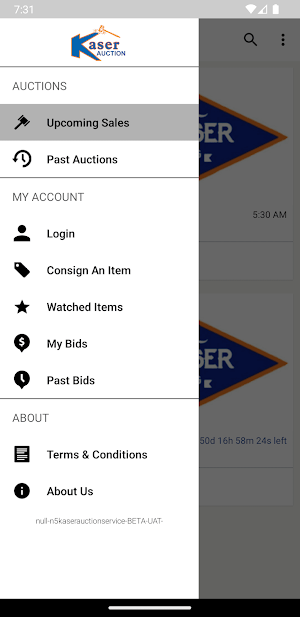 Kaser Auction Screenshot 3