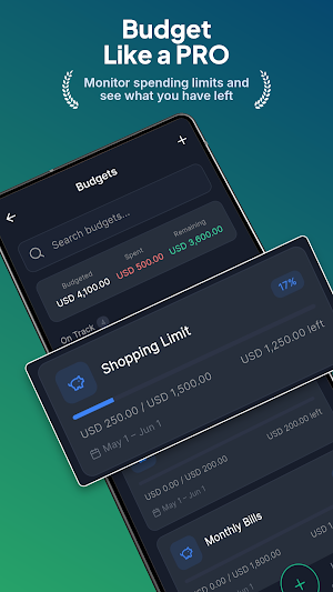 DimeDock: Money Manager Screenshot 2