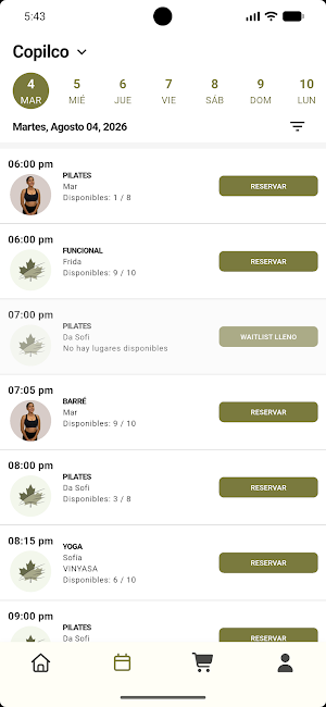 Maple Studio Screenshot 1