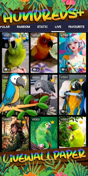 parrot wallpaper Screenshot 2