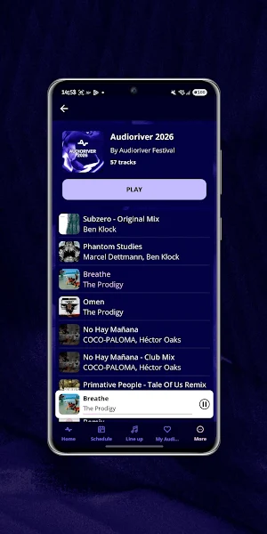 AUDIORIVER Screenshot 3