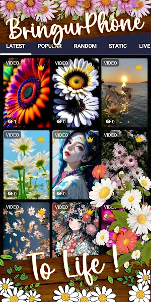 daisy wallpaper Screenshot 1