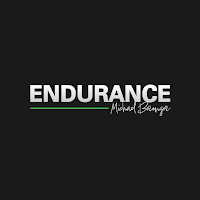 Endurance DashCam