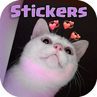 Stickers de Gatitos