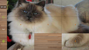 Cat Puzzle Game Screenshot 3
