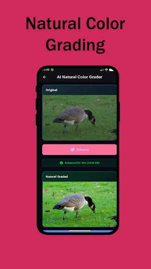EnhanceX AI Photo Studio Screenshot 1