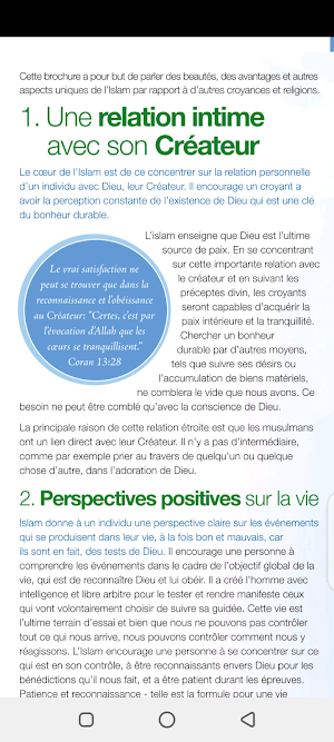 Brochure: pourquoi l'islam Screenshot 3