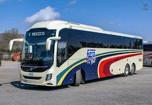 Bus Simulator X Brasil Screenshot 3