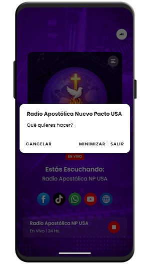 Radio Apostolica NP USA Screenshot 2