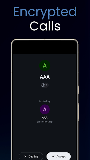 NoLink Screenshot 3