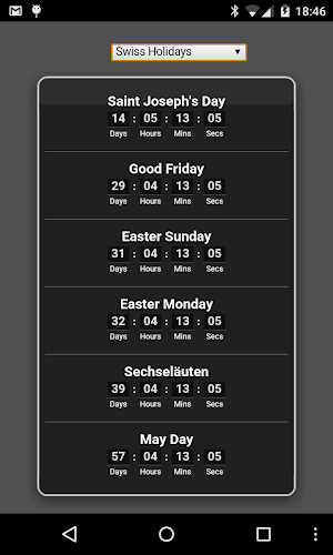 Holidays Screenshot 3