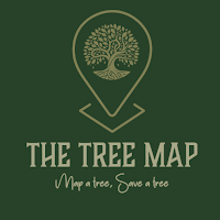 TreeMap