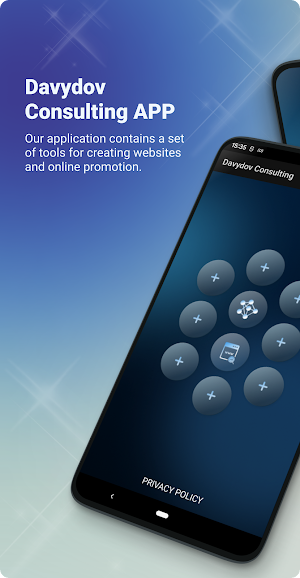 Davydov Consulting Screenshot 0