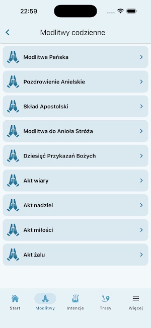 Pielgrzymka Kaliska Screenshot 2