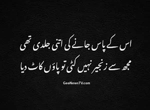 Mirza Ghalib Shayari Urdu Book Screenshot 2