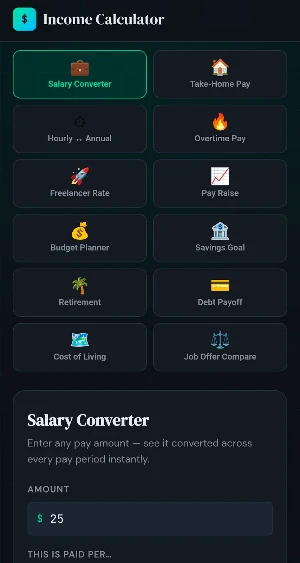 Income & Salary Calculator Screenshot 1