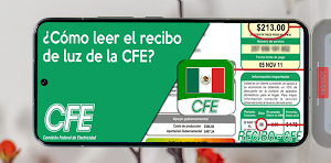 Recibo de Luz CFE Guía Screenshot 2