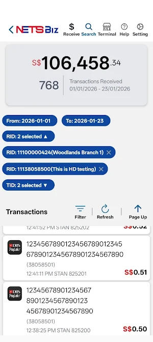 NETSBiz 2.0 Screenshot 2