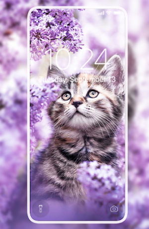 Cute Cat wallpapers Screenshot 1