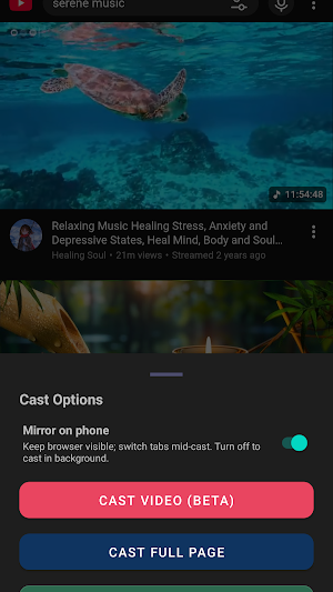Zebcast Browser Video Cast Screenshot 3