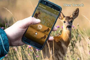 Deer Sounds Screenshot 0