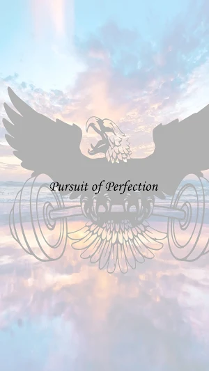 Pursuit of Perfection Screenshot 0