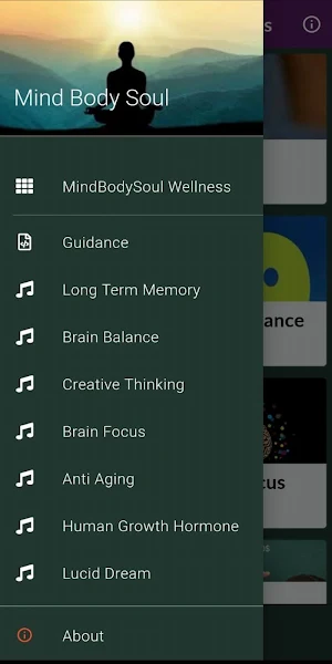 Mind Body Soul Wellness Audio Screenshot 0