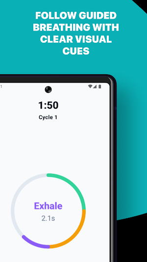 Breath Flow Screenshot 3