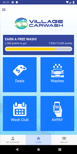 Village Car Wash Screenshot 1