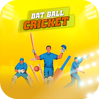 Cricket Match 3d Bat Ball Game