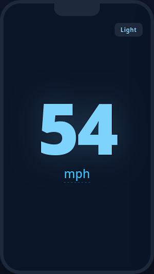 Speedo-lite Screenshot 2