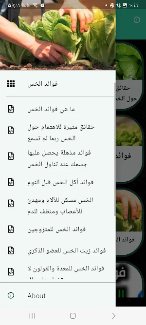 The benefits of lettuce Screenshot 1