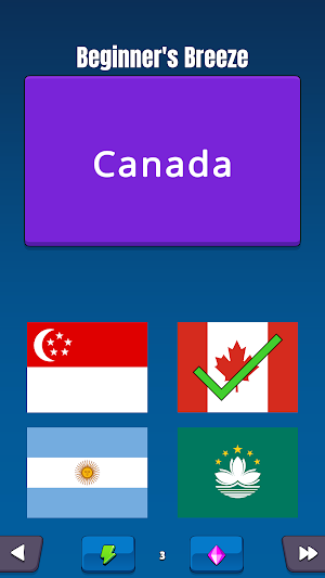 Flags World - Guess The Flag Screenshot 3