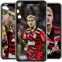 Pedro Flamengo Wallpapers