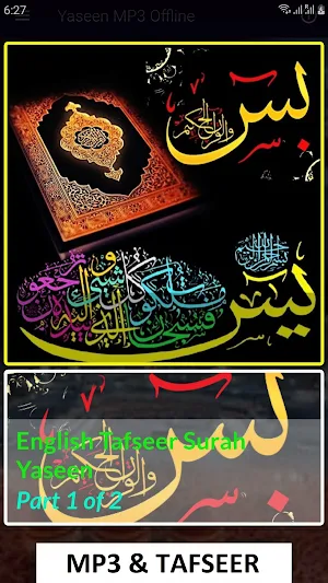 Yaseen MP3 Offline Screenshot 0