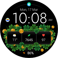 TVV Saint Patrick's Day 2