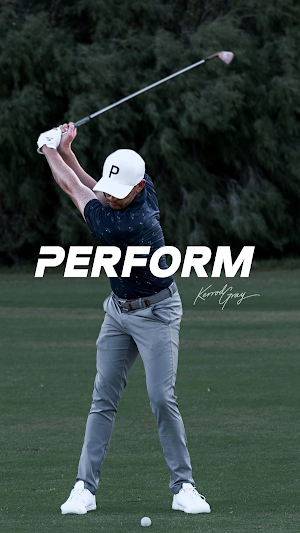 Perform Golf Screenshot 0
