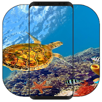 Tortoise Wallpaper