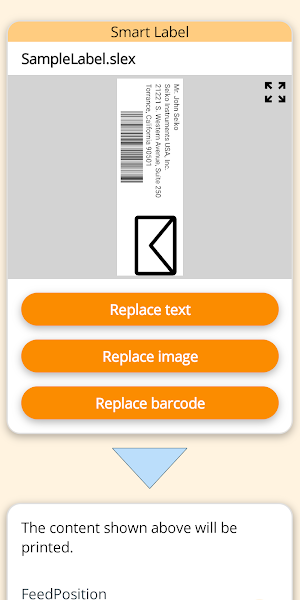 SII SLP800 Series Print Demo Screenshot 2