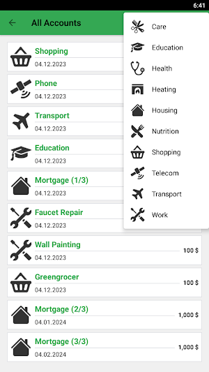 Accountant Screenshot 2