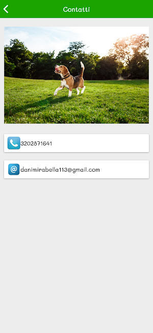 My dog and cat Screenshot 2