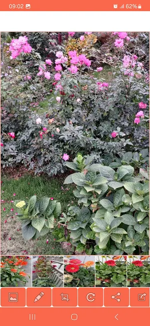 Album Image Screenshot 3