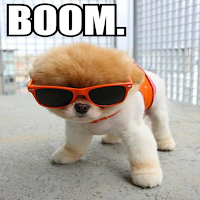 Funny Animated Images - GIFs