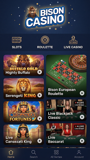 bison casino Screenshot 3