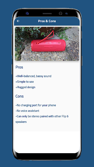 JBL Flip 6 Guide Screenshot 2