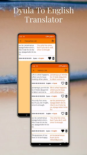 Dyula To English Translator Screenshot 3