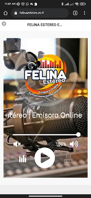 Felina Estereo Screenshot 2