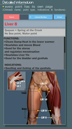 Easy Acupuncture 3D -FULL screenshot 3